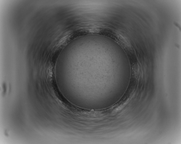 X0000098160032200804171610