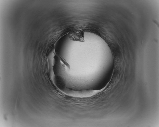 X0000098160033200804171610