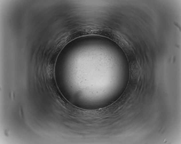 X0000098160034200804171610