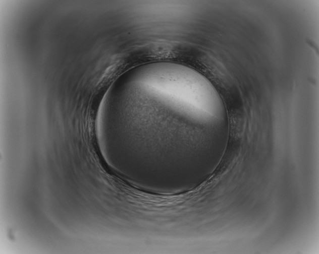 X0000098160035200804171610