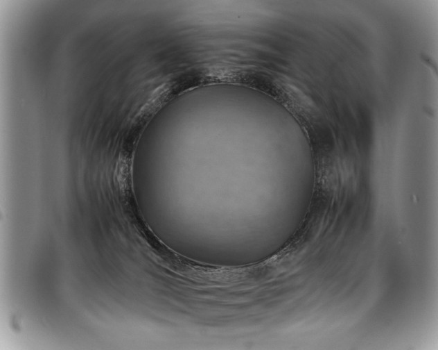 X0000098160036200804171610