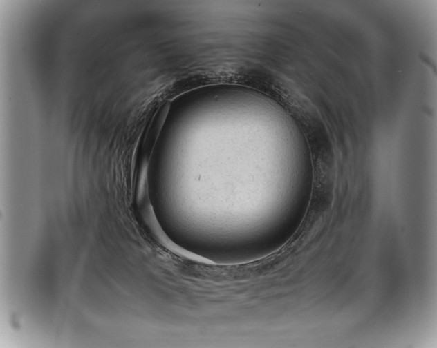 X0000098160037200804171610