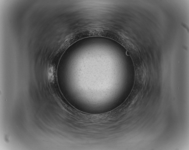 X0000098160038200804171610