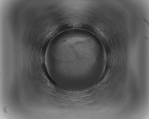 X0000098160039200804171610