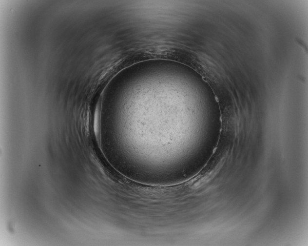 X0000098160040200804171610