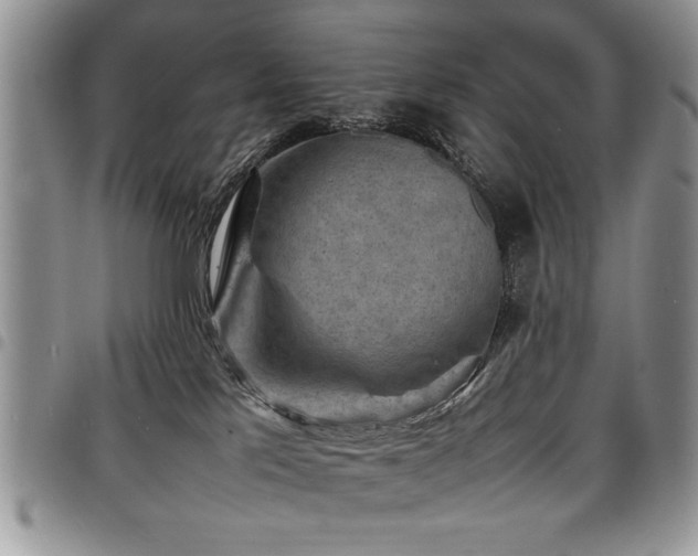 X0000098160041200804171610