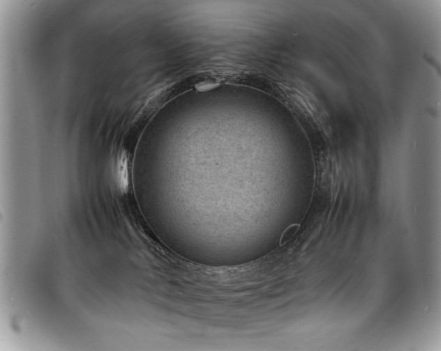 X0000098160042200804171610