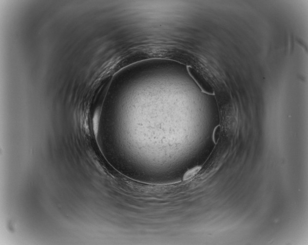 X0000098160044200804171610