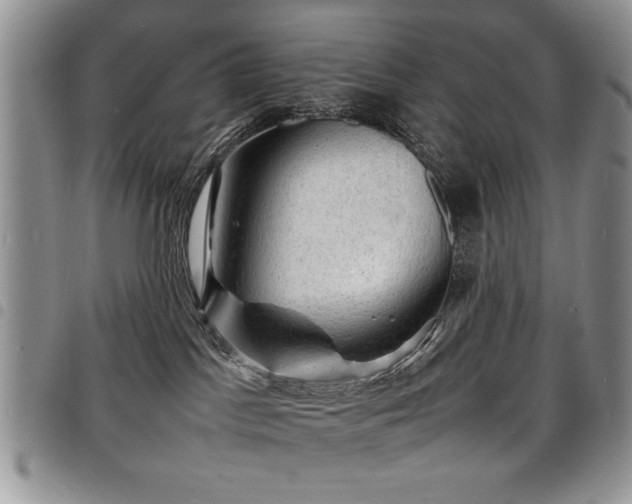 X0000098160045200804171610
