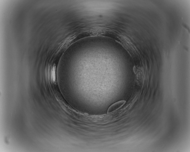 X0000098160046200804171610