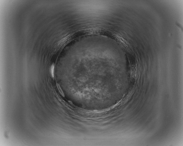 X0000098160047200804171610