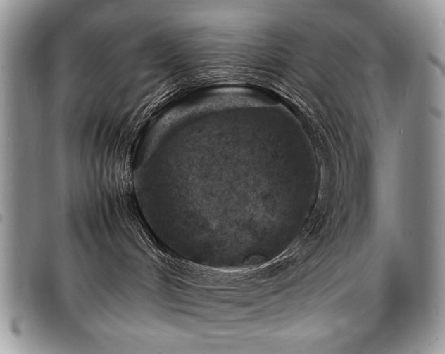 X0000098160048200804171610