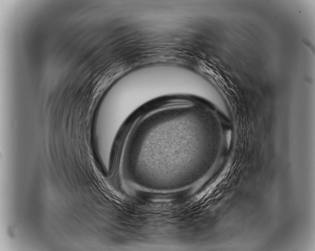 X0000098160049200804171609