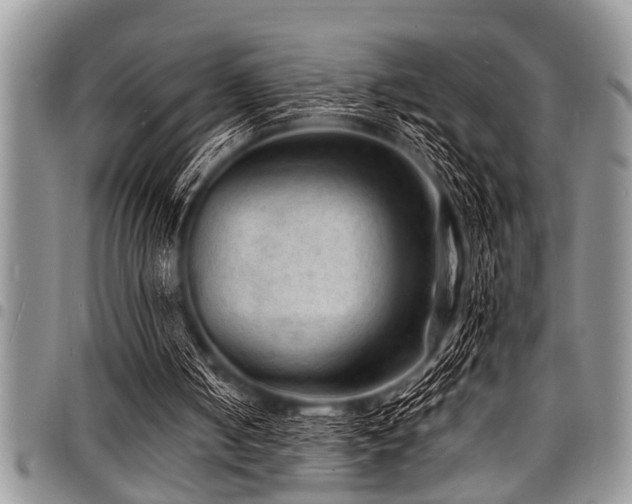 X0000098160050200804171609