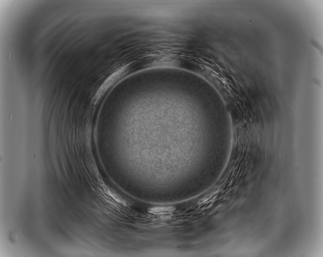 X0000098160051200804171609