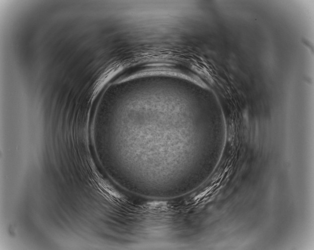 X0000098160052200804171609