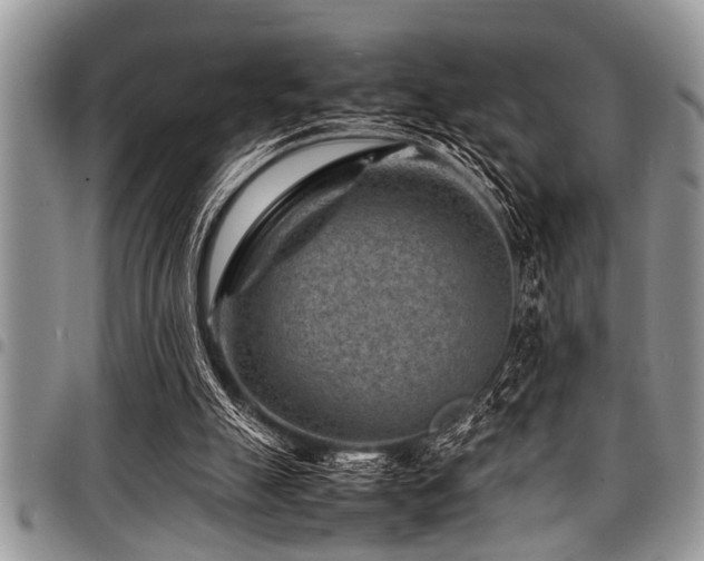 X0000098160055200804171610