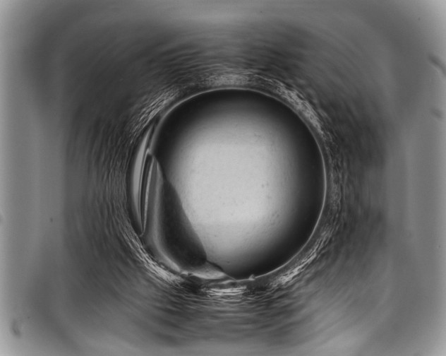 X0000098160057200804171610