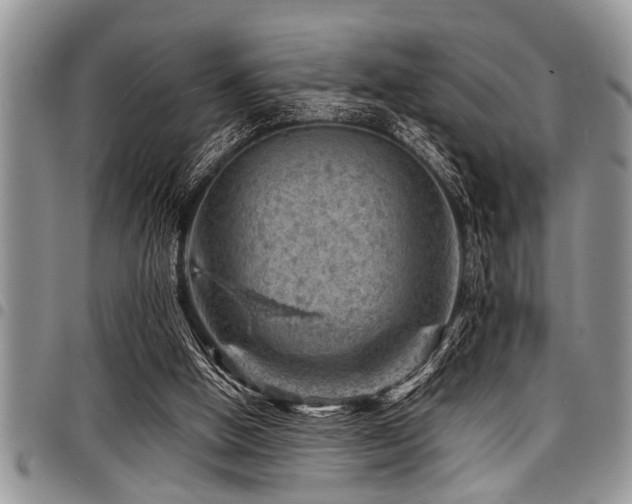 X0000098160058200804171610