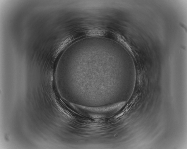 X0000098160059200804171610