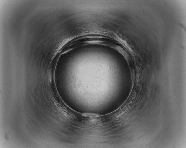 X0000098160060200804171610