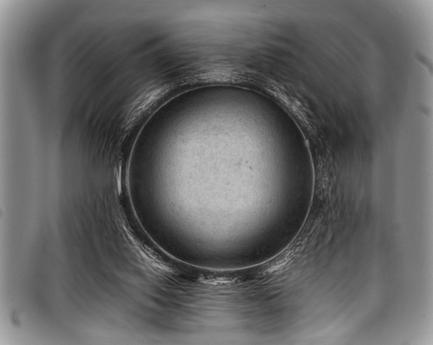 X0000098160062200804171610