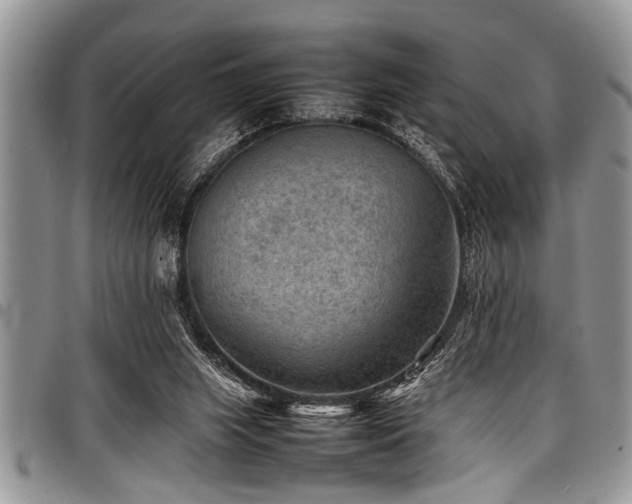 X0000098160063200804171610