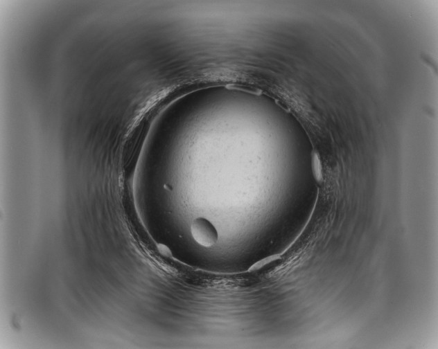X0000098160064200804171610