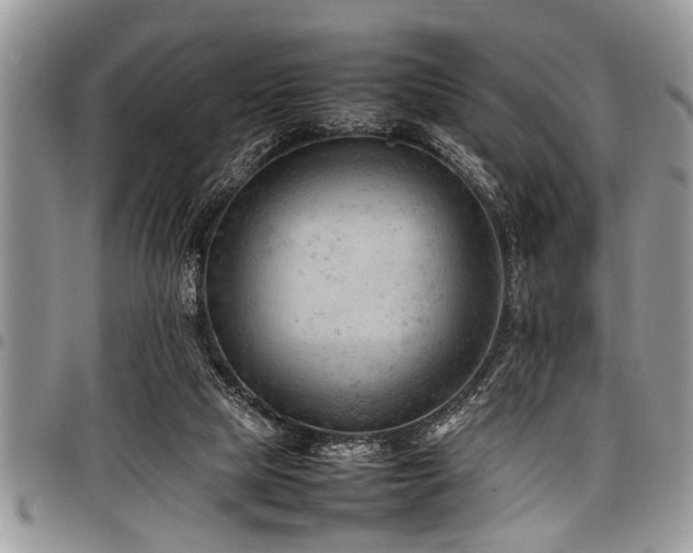 X0000098160065200804171610