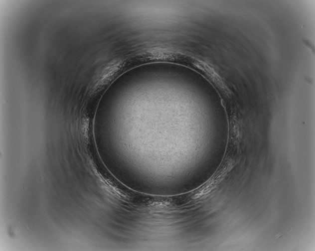 X0000098160066200804171610