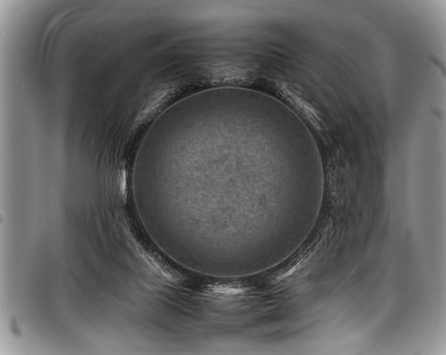 X0000098160067200804171610