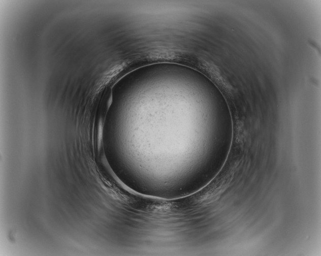 X0000098160068200804171610