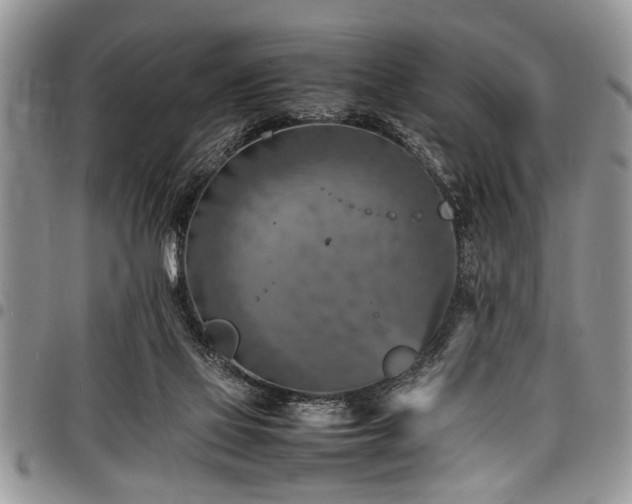 X0000098160069200804171610