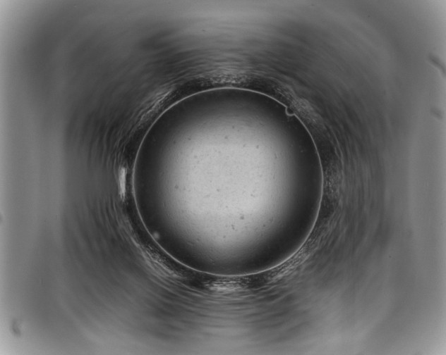 X0000098160070200804171610