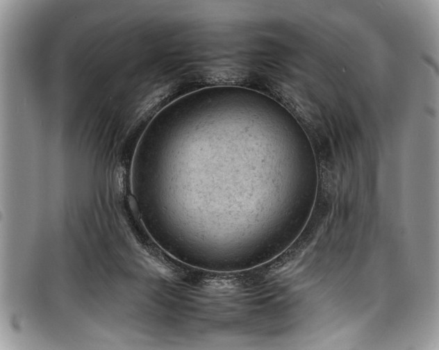 X0000098160071200804171610