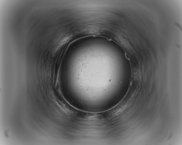 X0000098160072200804171610