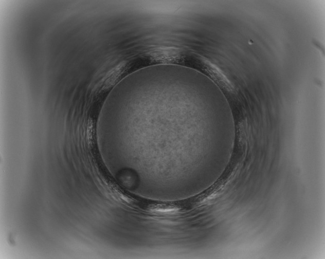 X0000098160073200804171610