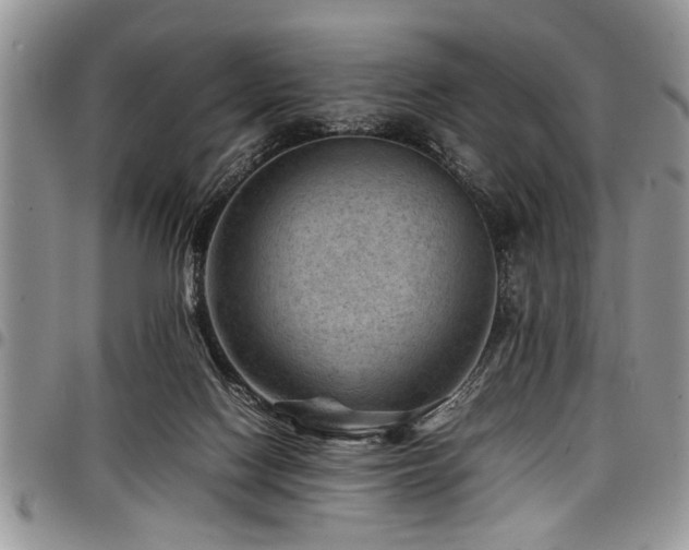 X0000098160074200804171610