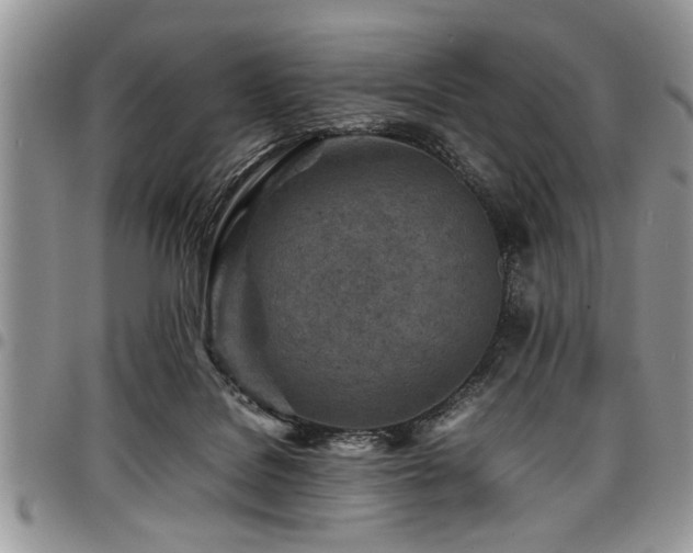 X0000098160076200804171610