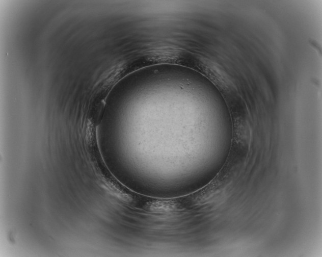 X0000098160077200804171610