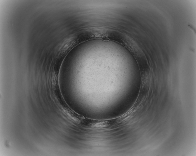 X0000098160078200804171610