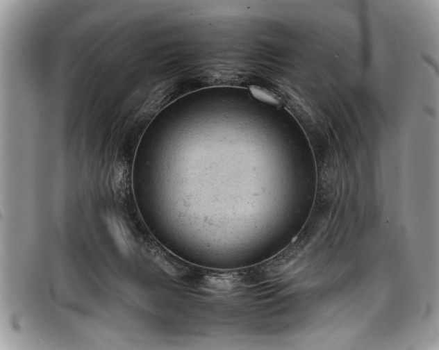 X0000098160079200804171610