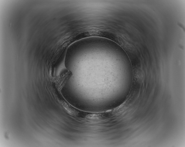 X0000098160082200804171610