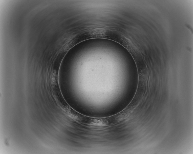 X0000098160083200804171610