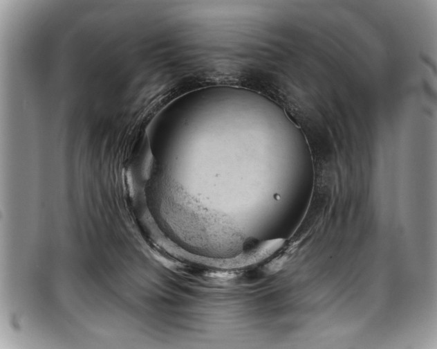 X0000098160084200804171610