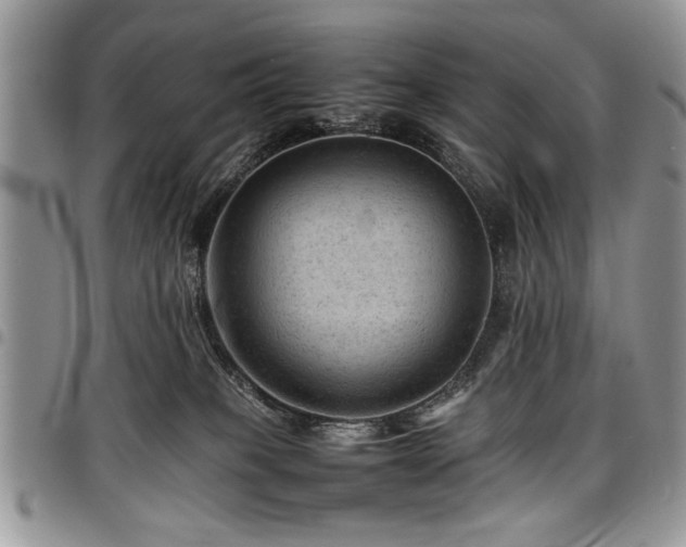 X0000098160085200804171610