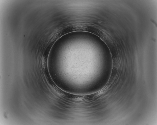 X0000098160086200804171610