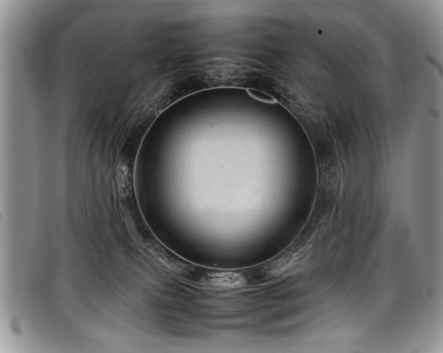 X0000098160087200804171610