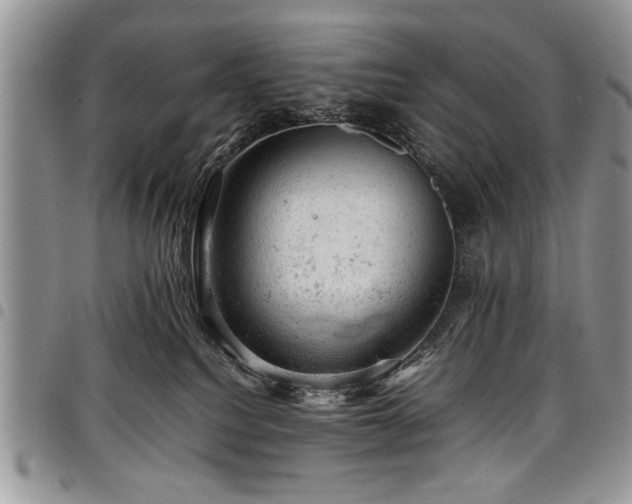 X0000098160088200804171610