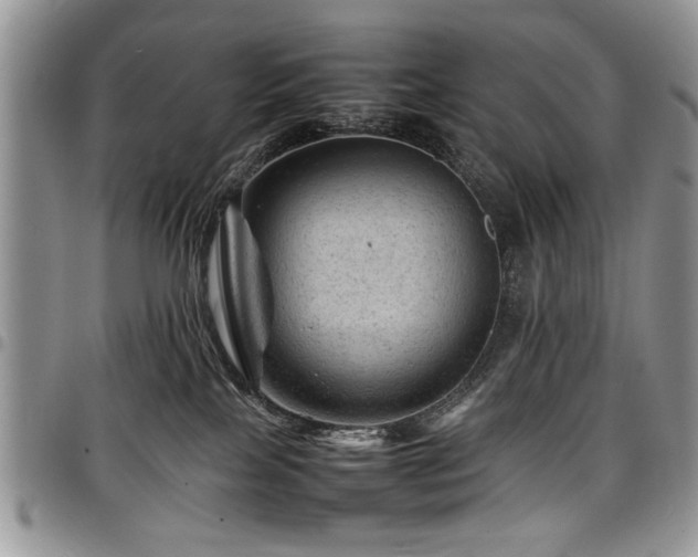 X0000098160089200804171610